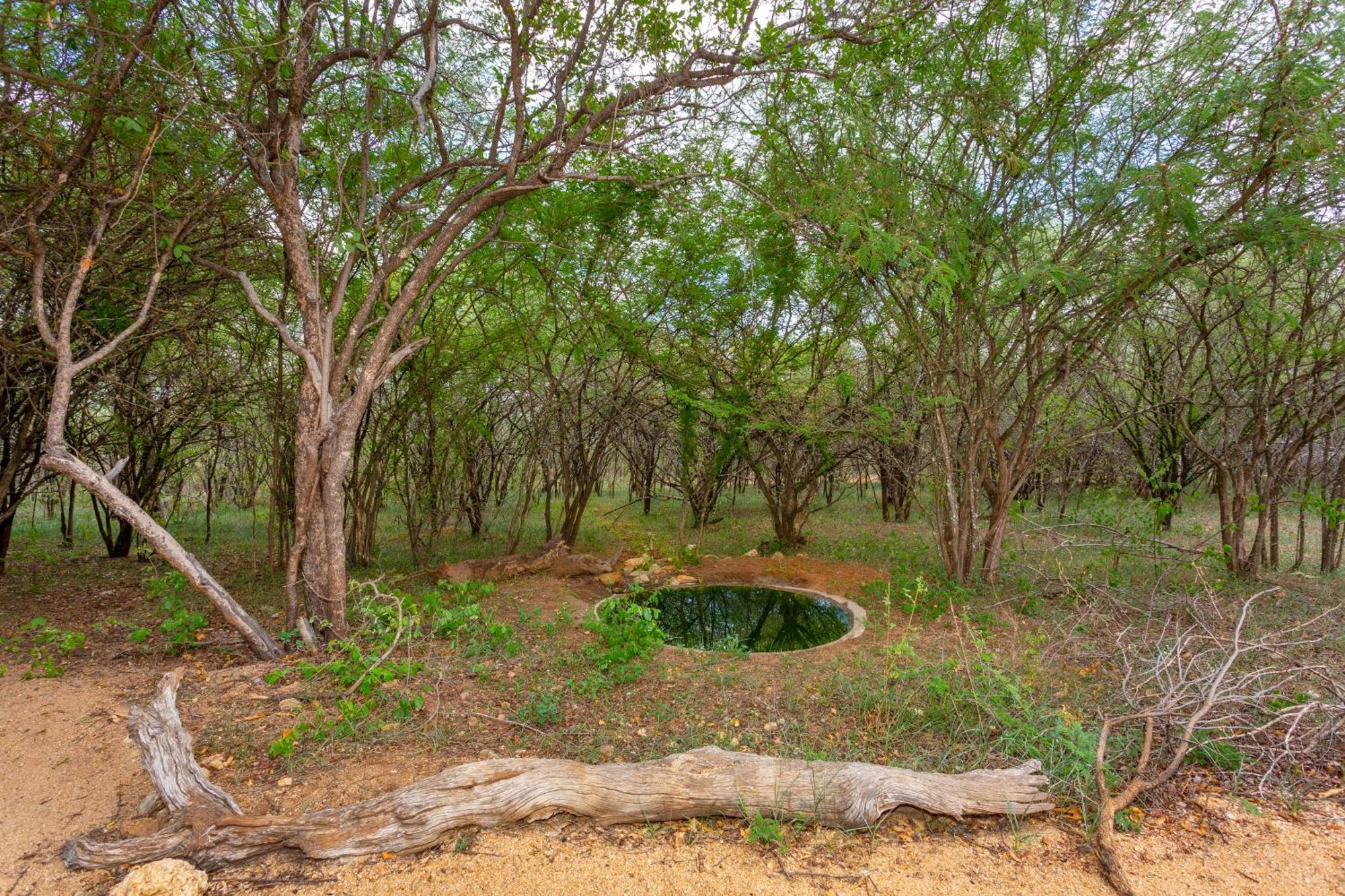The Bush House Βίλα Hoedspruit Εξωτερικό φωτογραφία